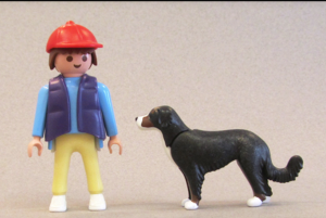 peta,toys,Border Collie, Bernese Mountain Dog,Great Dane,animobil