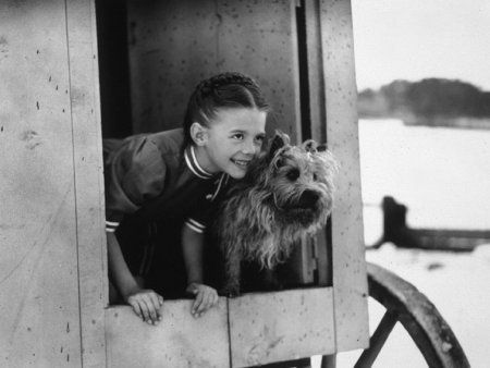 Cairn Terrier, The Ghost And Mrs. Muir,movies,film,