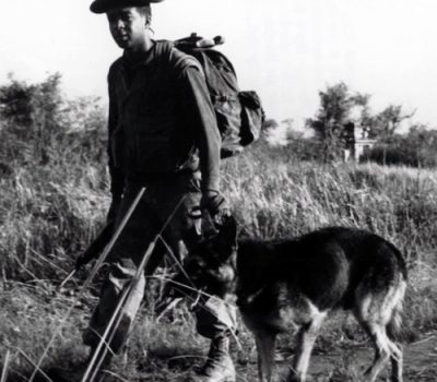 German Shepherd Dog,Vietnam,Kaiser,war dog, military dog