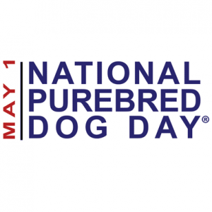 national-purebred-dog-day-icon-300x300.png