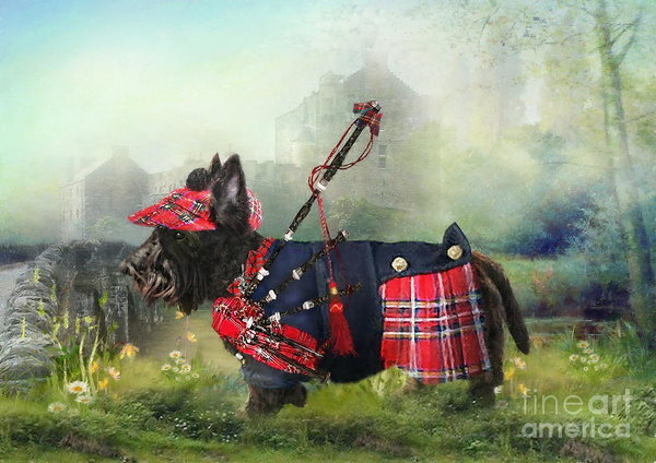 Skye Terrier, Dandie Dinmont, West Highland White Terrier,Cairn Terrier,Scottish Terrier,Scottie,Hard-Haired Scottish Terrier,history