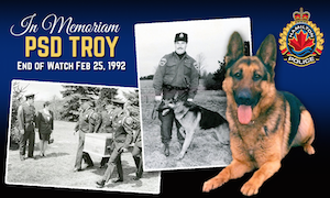 police dog,Troy,German Shepherd Dog,Hamilton,Canada