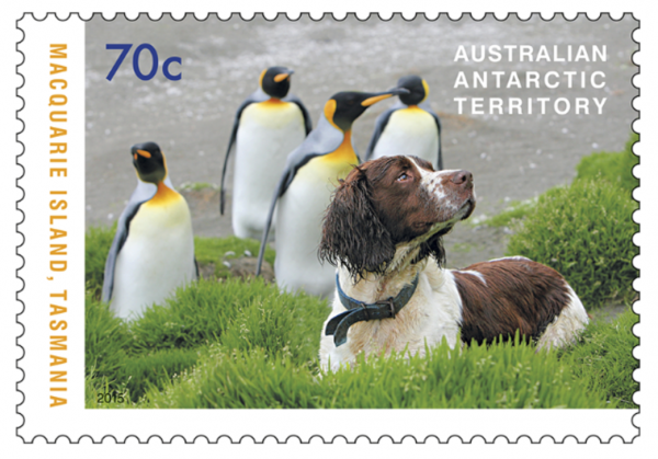 stamps,Dogs That Saved Macquarie Island,steve austin,Labrador Retriever,Springer Spaniel
