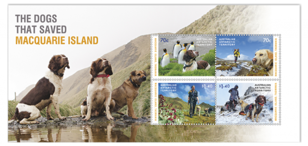 stamps,Dogs That Saved Macquarie Island,steve austin,Labrador Retriever,Springer Spaniel