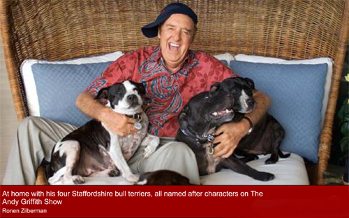 Staffordshire Bull Terrier,Jim Nabors,Gomer Pyle,Andy Griffith Show