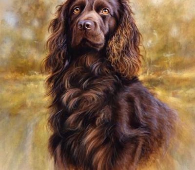 turkey-hunting,turkey dog,hunting dog,Appalachian Turkey Dog,Plott,Boykin Spaniel,Pointer,Setter,John H. Byrne,Jr.