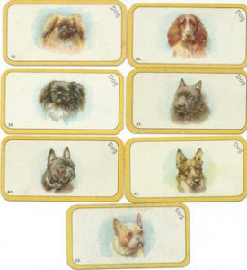 Bedlington Terrier,cigarette card,trading card,Gallaher Cigarette Company,Carreras' Black Cat,Australian Terrier,Turf Cigarettes,