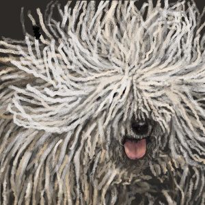 Стол для груминга komondor ts 06