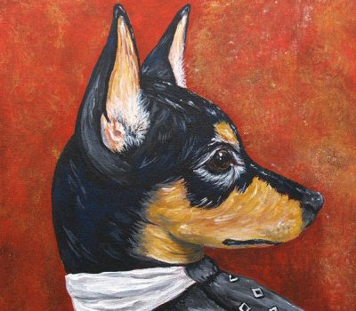 Reh Pinscher,Miniature Pinscher, Min Pin,history,