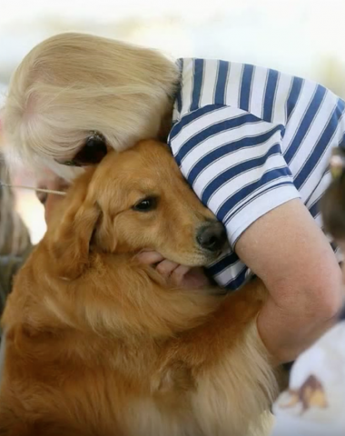 breeder, golden retriever club of america