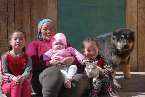 Bankhar,Mongolian Bankhar Dog,Livestock Guardian Dog,Bruce Elfstrom,Mongolian Bankhar Dog Project 