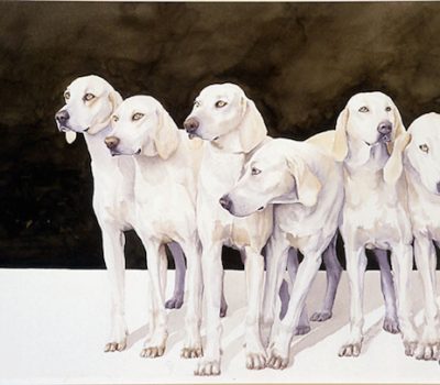 Billy,Ceris,hound,King's White Dog,Montaimboeuf,Laryee