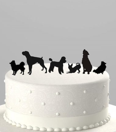 pembroke welsh corgi, dog cake, cake, Guinness Book of Records,