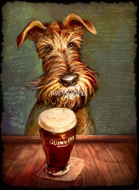 Irish Terrier,Ghillie,