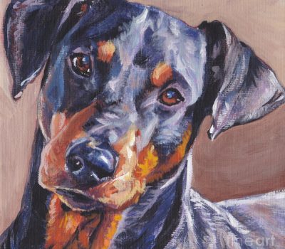 German Pinscher,Standard Schnauzer,coat,Albrecht Durer,Malers Vernet,history