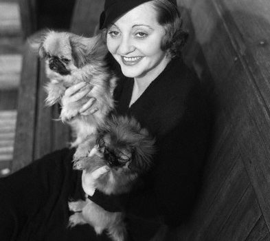 Tallulah Bankhead,pekingese,wire haired terrier