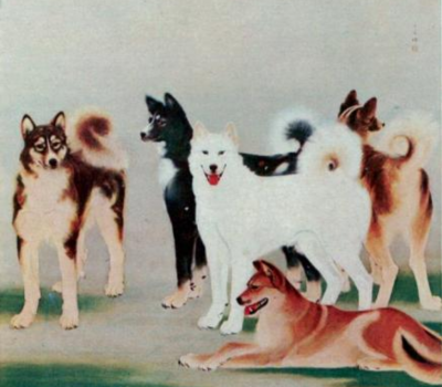 Saito Hirokichi,Japanese breeds,Inumaru Tetsuzo,Society for the Preservation of the Japanese Dog,Akita,Hachiko,