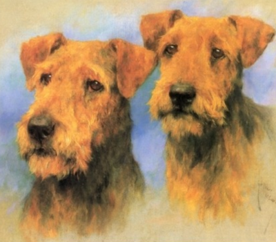 Airedale Terrier,Waterside Terrier,Bingley Terrier,Airedale Orchestra,Keighley and District Orchestral Society,history