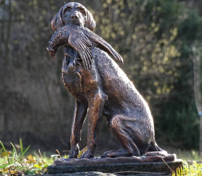 Wire-Haired Vizsla,Vizsla,history,hunting dog,Gresznarik Lazslo,Vasas Jozsef