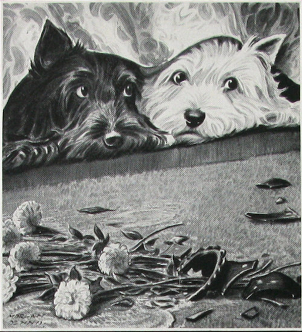 Scottish Terrier, West Highland White Terrier, color, James Buchanan Company,advertising,Black & White Scotch Whisky