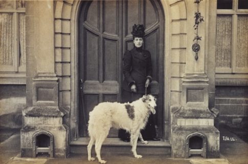 Borzoi,Queen Victoria,Prince of Wales,Edward VII,Russian Wolfhound,Czar