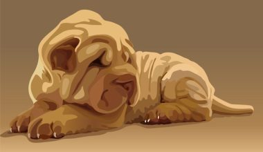 bamboo tongue, black-bean triangular eyes, butterfly nose, Calabash head, Chinese Shar-Pei, clam shell ears, column arms, garlic clove paws, grass carp body, hard wire tail, old lady's face, persimmon butt, pipa thighs, roof tile mouth, shrimp waist, standard, yellow cattle neck