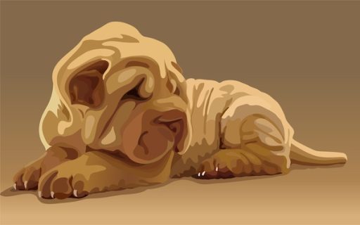 bamboo tongue, black-bean triangular eyes, butterfly nose, Calabash head, Chinese Shar-Pei, clam shell ears, column arms, garlic clove paws, grass carp body, hard wire tail, old lady's face, persimmon butt, pipa thighs, roof tile mouth, shrimp waist, standard, yellow cattle neck