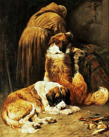 Saint Bernard,St.Bernard,color,marking,coat,Barry Foundation