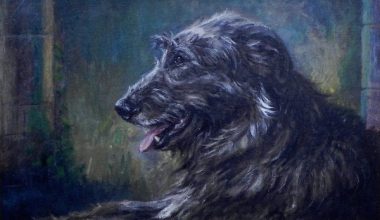 Irish Wolfhound,twins,identical twins,Romulus,Cullen,Kurt de Cramer,names,nicknames,Greyhound of Ireland.Wolfdog of Ireland