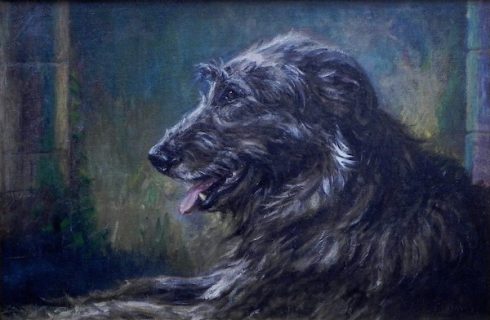 Irish Wolfhound,twins,identical twins,Romulus,Cullen,Kurt de Cramer,names,nicknames,Greyhound of Ireland.Wolfdog of Ireland