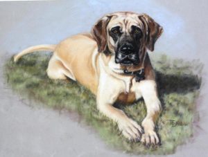 The Black Mouth Cur