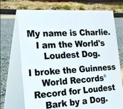 Guinness World Record,bark,Golden Retriever,German Shepherd Dog