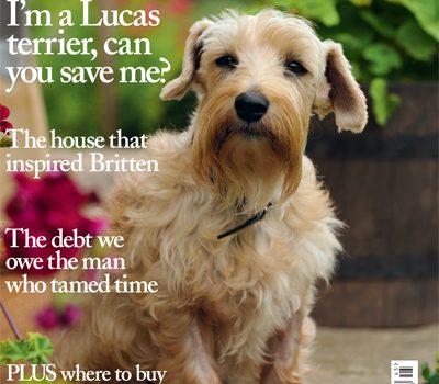 Lucas Terrier,Vulnerable Breeds,Dandie Dinmont, Sealyham Terrier,Sir Jocelyn Lucas,Country Life,Mrs. Enid Plummer