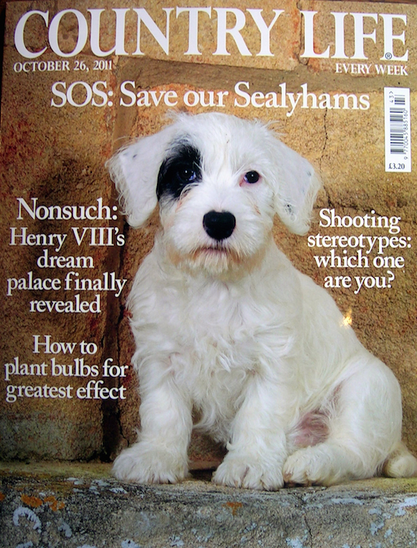 Sealyham Terrier,Country Life,Vulnerable Breed