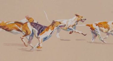 Foxhound,North American Fox Hunting Horn Blowing Competition,