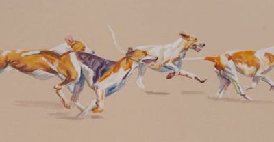 Foxhound,North American Fox Hunting Horn Blowing Competition,