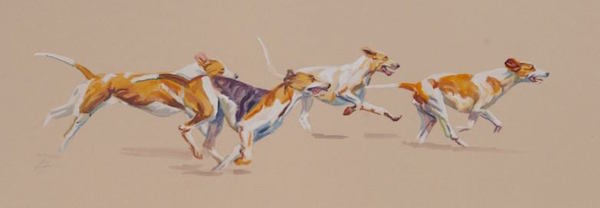 Foxhound,North American Fox Hunting Horn Blowing Competition,