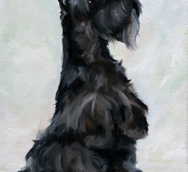 Scottish Terrier,Dr. William Bruette,standard,carrot tail,structure,terrier
