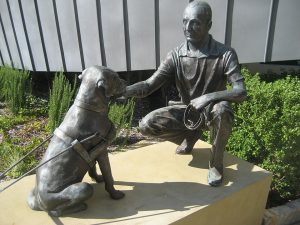 Dr. Arnold Charles Cook, Dreena, Labrador Retriever, Guide Dog