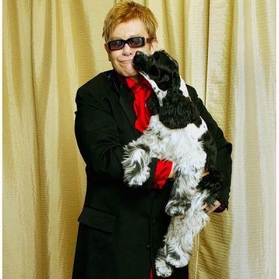 Elton John,Arthur,Cocker Spaniel