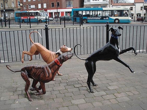 Greyhound,sculpture,art,public art,Irene Brown,Racing Ahead,Stockton