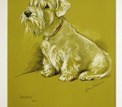 Sealyham Terrier,August Schönberg,August Belmont