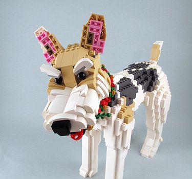 Fox Terrier, lego