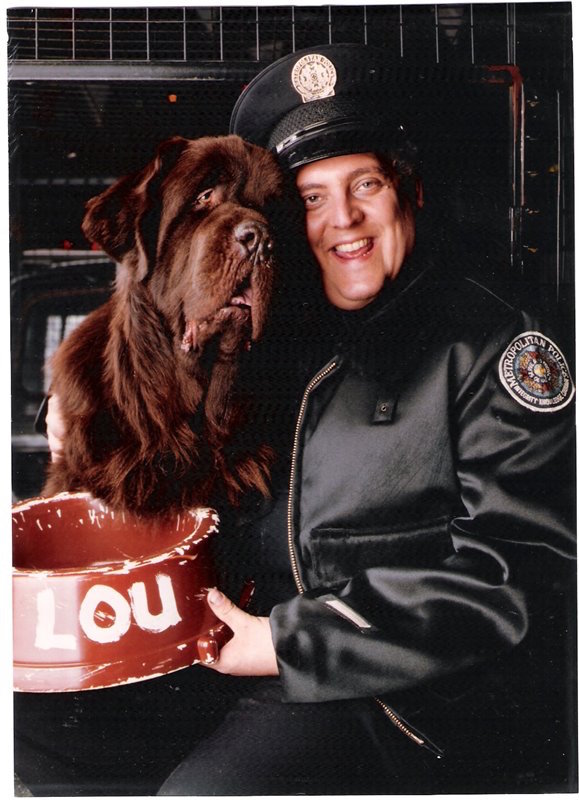 Kodiak, a Newfoundland Movie Star