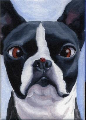 Bloodhound,German Shepherd Dog, Beagle,nose print, Canadian Kennel Club,rhinarium