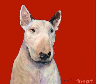 Bull Terrier, Gladiator of the Canine Race,nickname