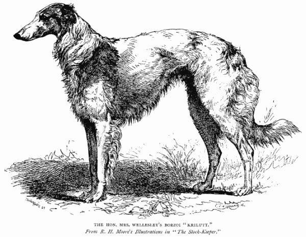 Our Breeds' Early Dogs: How Do We Know?
