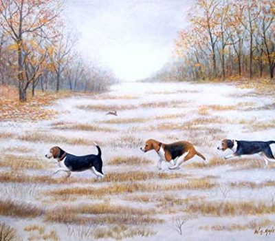 field trial,Beagle,