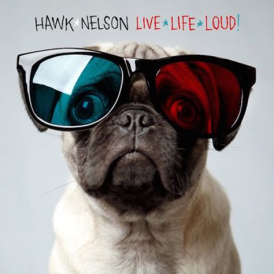 Pug,Hawk Nelson,Jason Dunn,music,rock,art