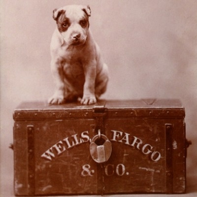 Mastiff,Bull Terrier,bank, wells fargo, mascot